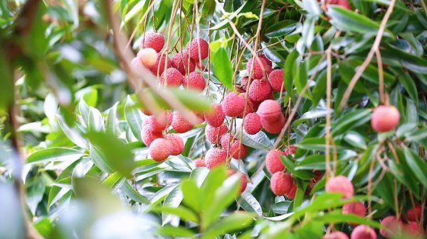 股票配资入门平台 引领区 见未来 | 在这里，邂逅现代版“富春山居图”！