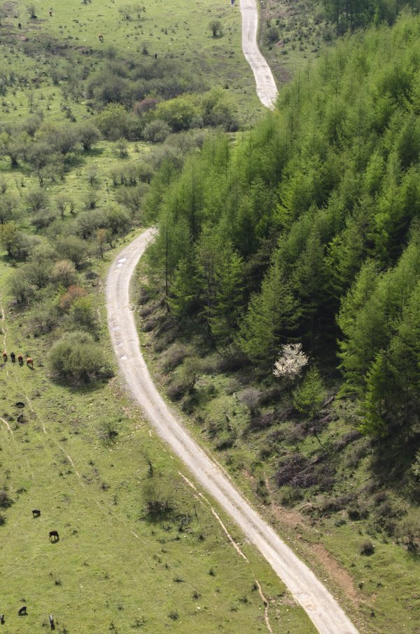 配资网网站 巴山：美丽春日画卷(5)